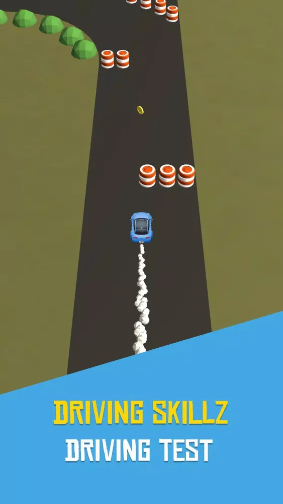 Driving Skillz স্ক্রিনশট