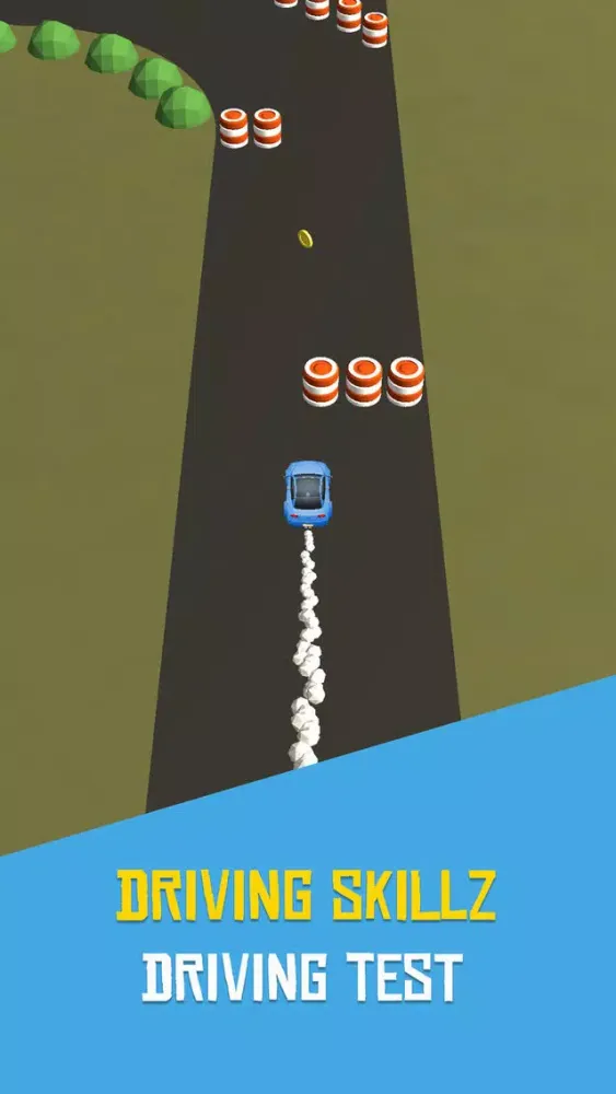 Driving Skillz Screenshots