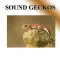 Gecko sweet voice
