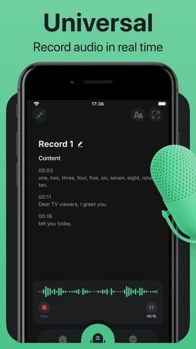 Voice & Audio Transcription Screenshots