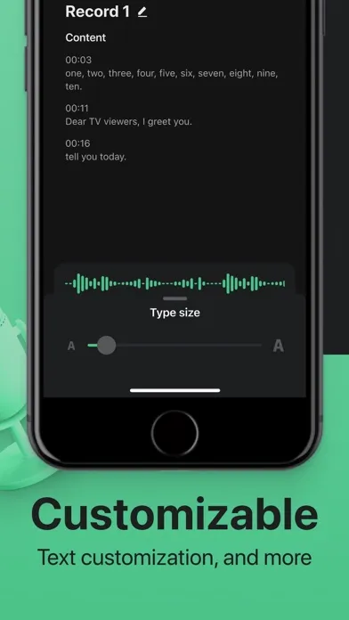 Voice & Audio Transcription Screenshots