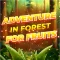 Adventure in Forest for Fruits