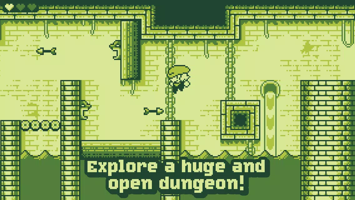Tiny Dangerous Dungeons Screenshots