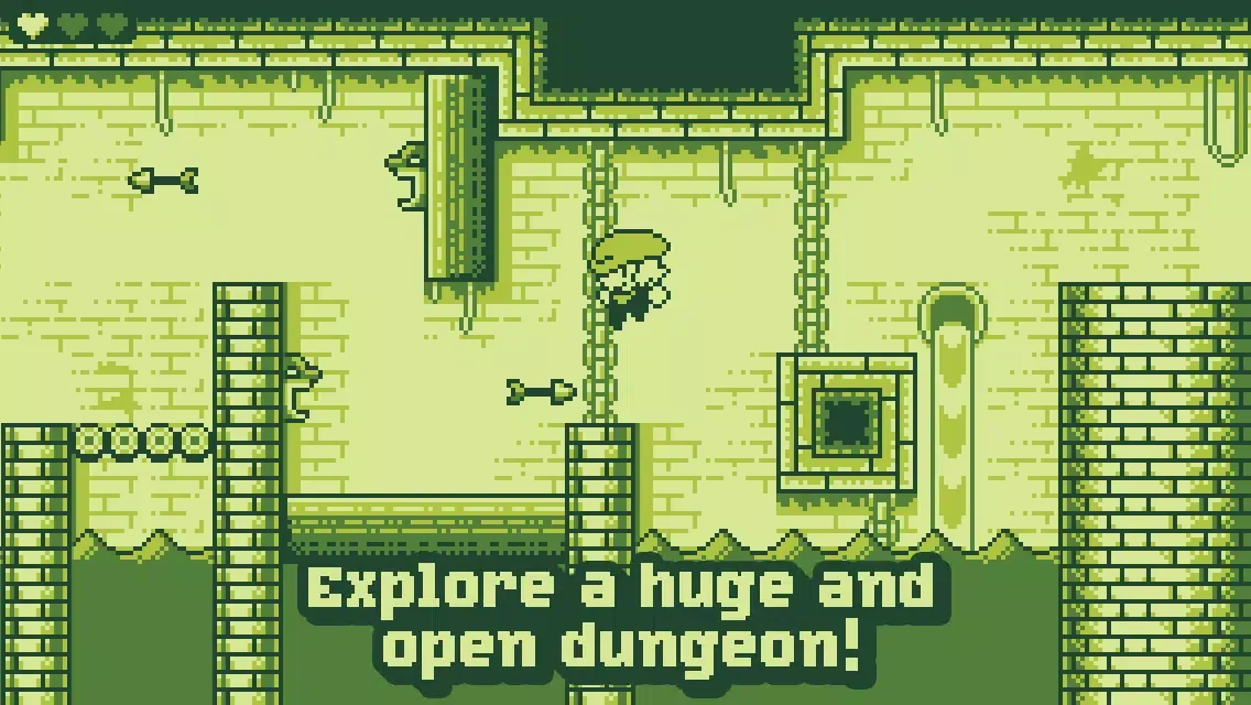 ภาพหน้าจอของ Tiny Dangerous Dungeons