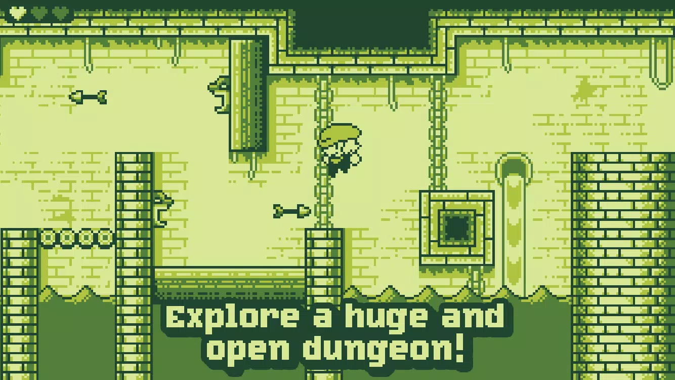 Tiny Dangerous Dungeons Screenshots