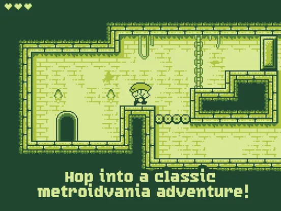 صور Tiny Dangerous Dungeons iPad 