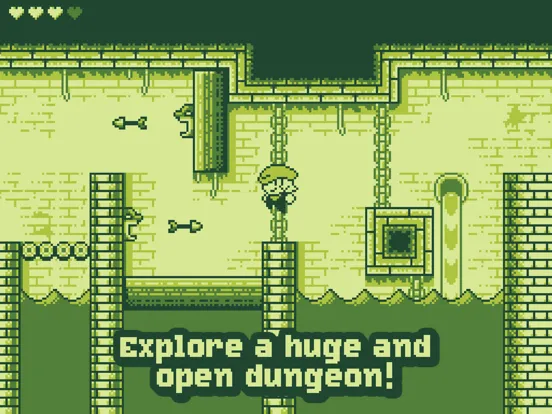 صور Tiny Dangerous Dungeons iPad 