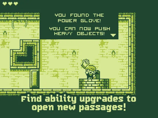 صور Tiny Dangerous Dungeons iPad 