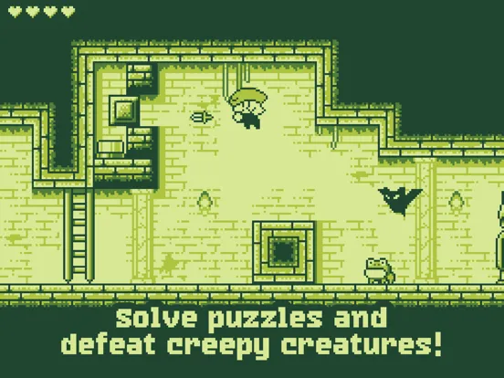 صور Tiny Dangerous Dungeons iPad 