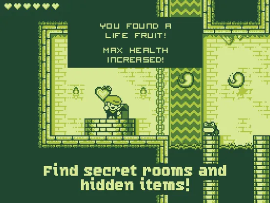 صور Tiny Dangerous Dungeons iPad 