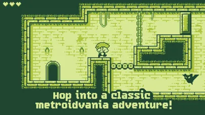 صور Tiny Dangerous Dungeons