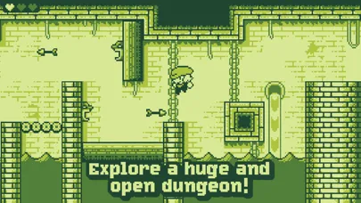 صور Tiny Dangerous Dungeons