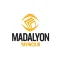 Madalyon Yayıncılık