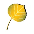 ASFA Connect