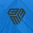 Castañeda Financial Management