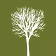Taylor Wealth Taylor Wealth