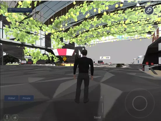 Tangkapan skrin Virtual Event Space iPad 