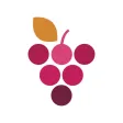 Wine Cellar Database Wine Cellar Database