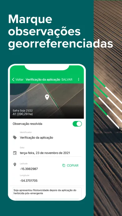 Aegro Campo Screenshots