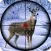 Sniper Animal Shooting Game 3D