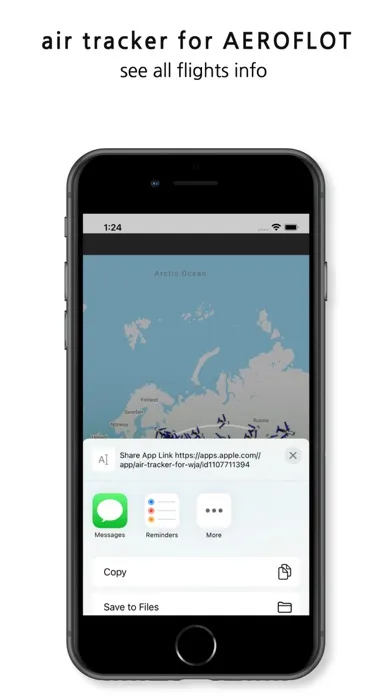 صور Tracker For Aeroflot
