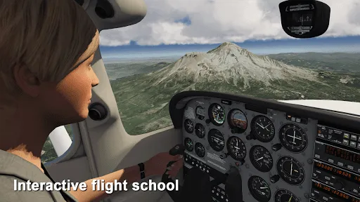 Aerofly FS 2020应用截图