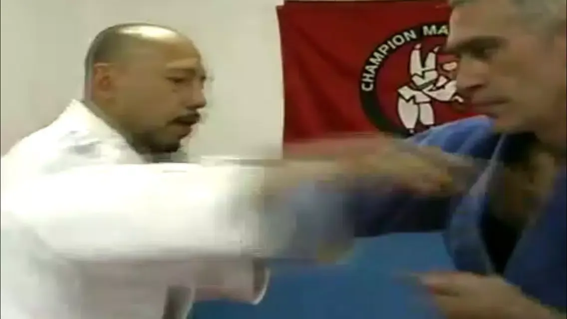 My First Judo Lessons Screenshots