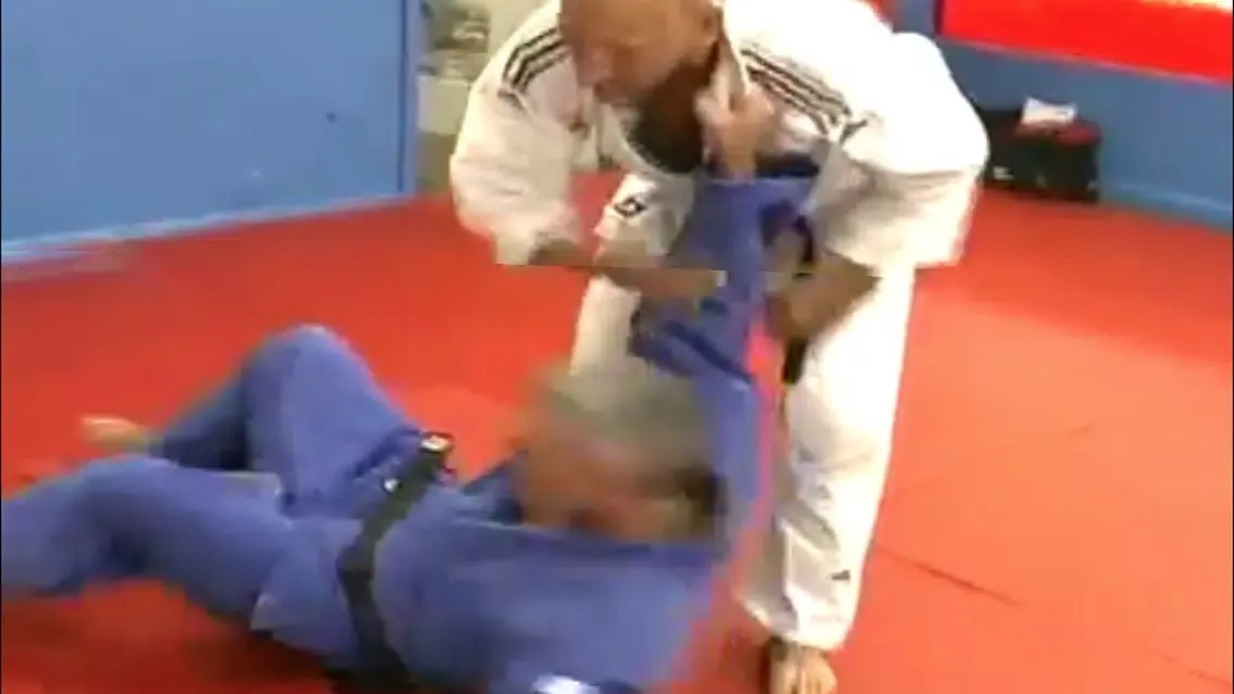 My First Judo Lessons Screenshots
