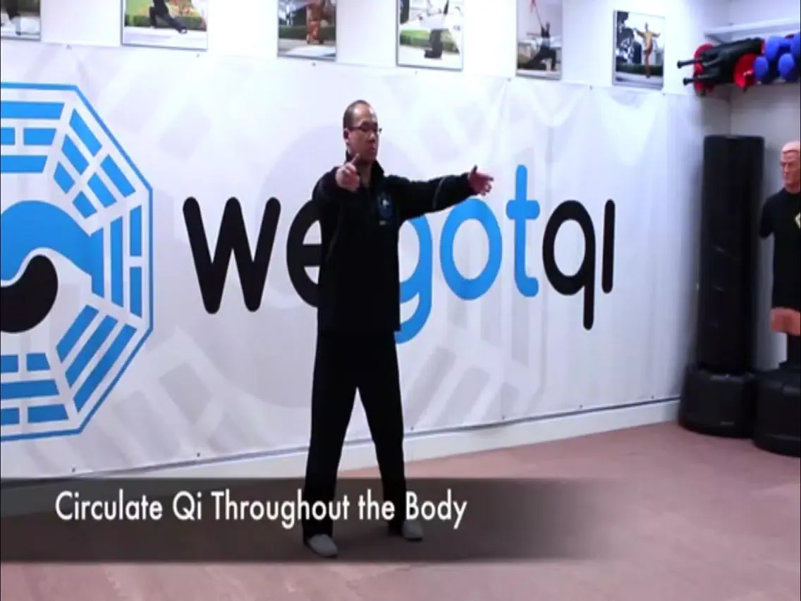 Qigong Training iPad  Screenshots