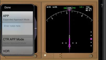 Aerosim Checkride B777 Screenshots