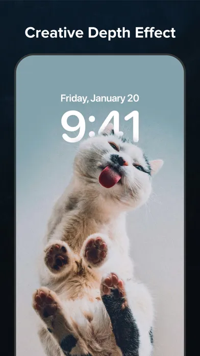 Skin - Widgets, Icons, Themes スクリーンショット