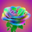 Rainbow Flowers DIY