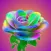 Rainbow Flowers DIY