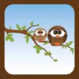 Draw Line: owl and chick