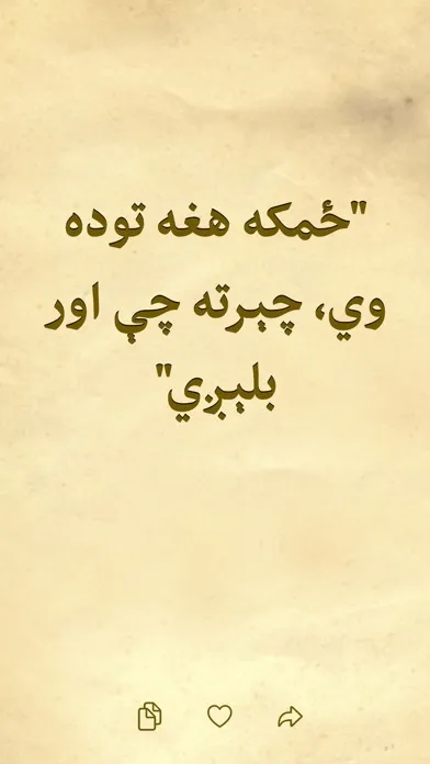 Capturas de tela do Afghan Proverbs