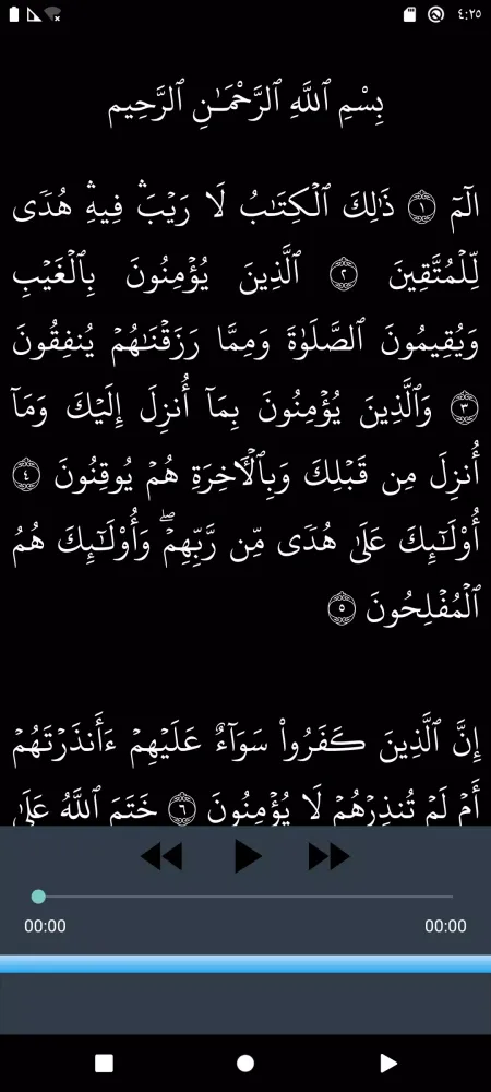 سورة البقرة رعد الكردي بدون نت Screenshots