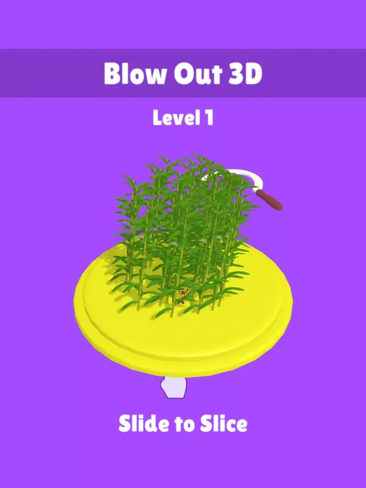 صور Blow Out 3D iPad 