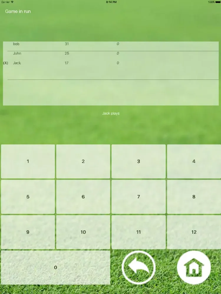 Molkky iPad  Screenshots