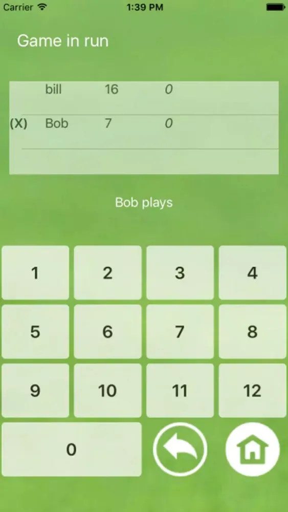 Molkky Screenshots