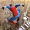 Spider Fighting