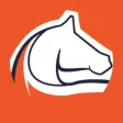 AllHorses