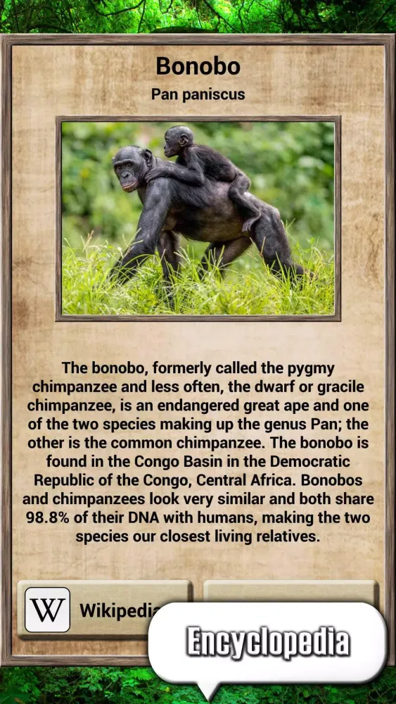 Animal Kingdom Screenshots