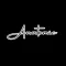 Anatomic Company