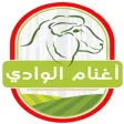 أغنام الوادي