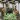 Lagu Batak Tarpaima Offline