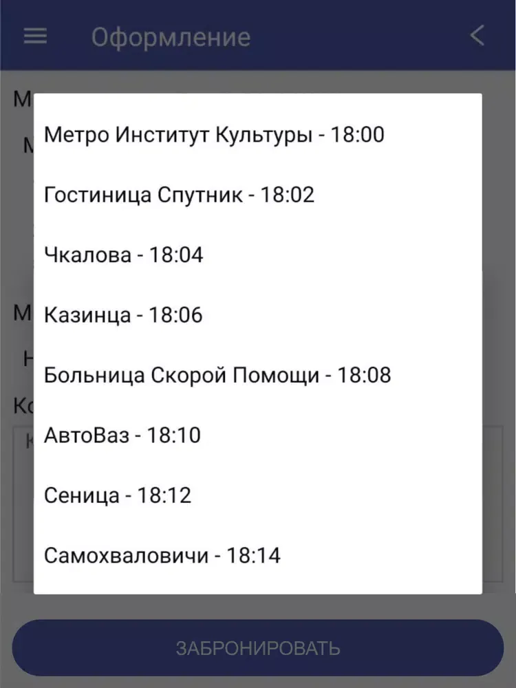 Bus Gomel-Moskva iPad  Screenshots