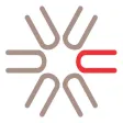 CHARIOTZ - Custom & Classic Cars & Trucks