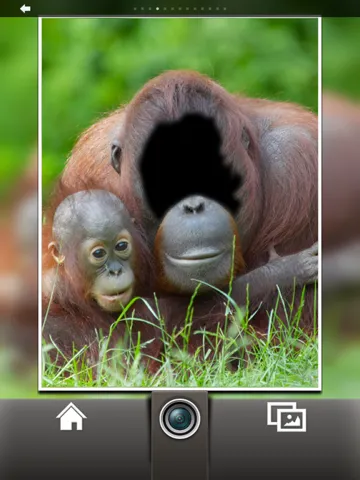 Capturas de tela do Photo Fun Best Of iPad 
