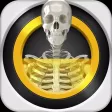 The X-Ray Scanner