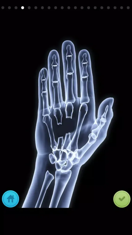 The X-Ray Scanner Ekran Görüntüleri